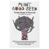 Plant Good Seed Purple Magic F1 Broccoli Seeds for Planting