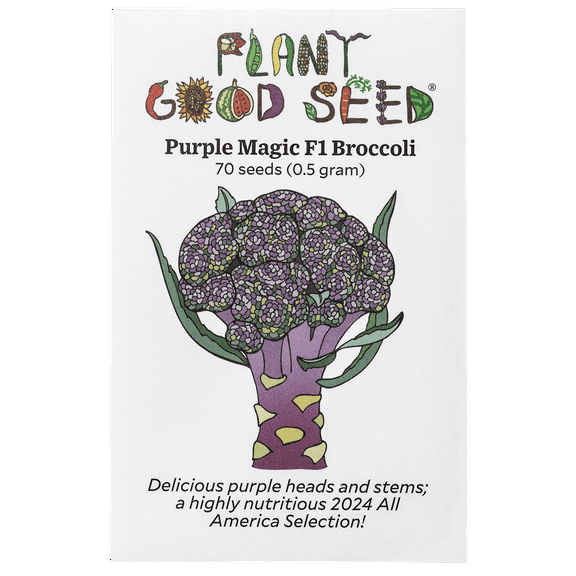 Plant Good Seed Purple Magic F1 Broccoli Seeds for Planting