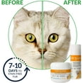 thumbnail image 3 of I-Lid 'n Lash Hygiene Vet Pump 50mL, 3 of 5