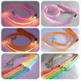thumbnail image 6 of Set of 4 Glowing Dog Leash Rechargeable and Waterproof Nylon Design for Night Visibility and Safety for All Pet Sizes, 6 of 7