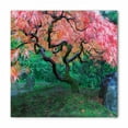 thumbnail image 1 of Japanese Bandana, Red Leaf Maple in Garden, Unisex Head and Neck Tie, by Ambesonne, 1 of 2