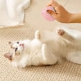 thumbnail image 5 of Jouet Interactif pour Chiots et Chiens Adultes Activité de Dentition Intérieure Extérieure, 5 of 5