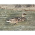 thumbnail image 3 of Lewis, Sheldon 18x15 Black Modern Framed Museum Art Print Titled - Water Duck, 3 of 5