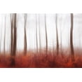 thumbnail image 2 of Davidsson, Gustav 32x23 Gold Ornate Wood Framed with Double Matting Museum Art Print Titled - Endless Woods, 2 of 4