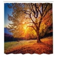 thumbnail image 3 of Ambesonne Brown Shower Curtain, Autumn Fall Tree Leaves, 69"Wx70"L, Brown, 3 of 5