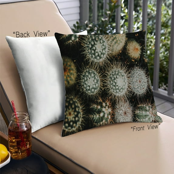 Ahgly Company Plants Cactus Outdoor Throw Pillow, 18 inch by 18 inch