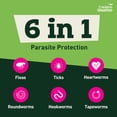 thumbnail image 3 of Credelio Quattro Chewable Tablets for Dogs 3.3-6 lbs, 6-in-1 Parasite Protection (6 Month Supply), 3 of 11
