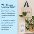 thumbnail image 4 of Detergente para ropa Nellie's Laundry Soda 500 cargas, 4 of 5
