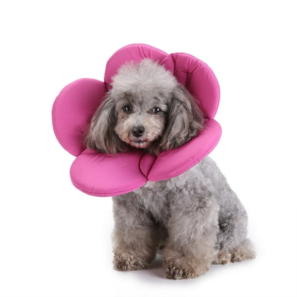 onlyliua para Interior/Exterior Collar de Protección En Mascotas, Collar de Protección En Perros, Funda de Protección En Flores