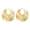 Golden, variant on 1 Pair Women Earrings, Imitation Pearls Inlaid Drop Earrings with Ear Loop, Daily Wear Party Dance Jewelry Gift