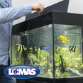 thumbnail image 2 of Alimento Para Peces Marinos Lomas IMMUNE ADVANTAGE 140 g, 2 of 2