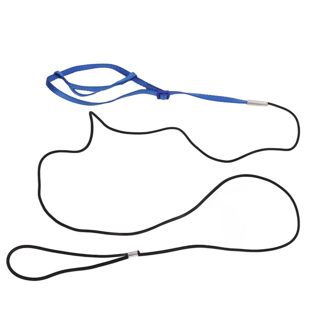 Harness Leash, Nylon Leash Adjustable For Birds For Parrots Royalblue