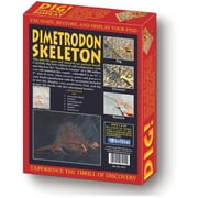 Dig! & Discover Blister Kit-T-Rex Skull