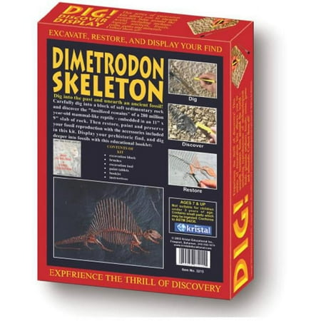 Dig! & Discover Blister Kit-T-Rex Skull