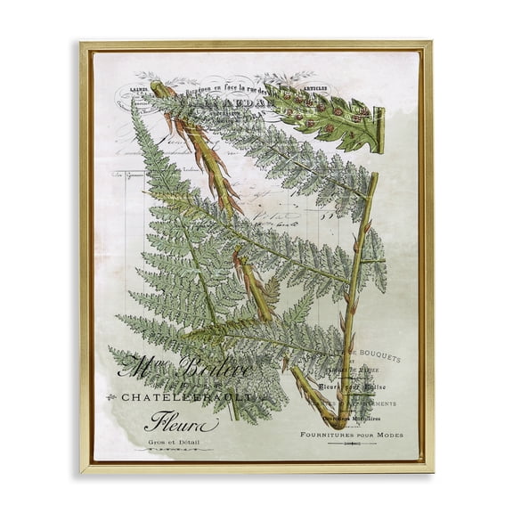 Stupell Industries Traditional Vintage Vegetation Various Ferns Gold Floating Frame Canvas Art, 17 x 21, by Lil' Rue