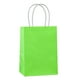 thumbnail image 1 of Bolsas de regalo pequeñas Bolsas de papel Kraft verde con asas para suministros de recuerdo de fiesta (27 x 21 x 11 cm) oso de fresa Electrónica, 1 of 5