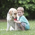 thumbnail image 2 of Juguete para perros KONG Classic Fetch & Chew Stuffable para tamaño extra grande, 2 of 9
