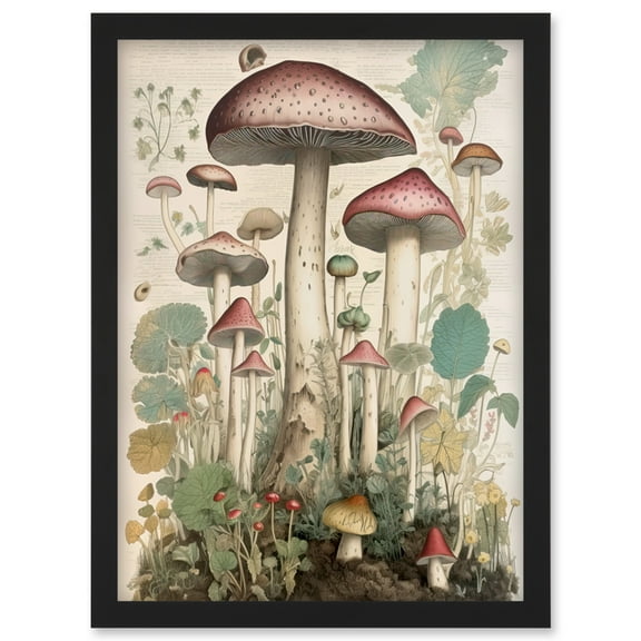 Mushroom Fungi Botanical Page Photograph Vintage Cottagecore Rustic Aesthetic Kitchen Artwork Framed Wall Art Print A4