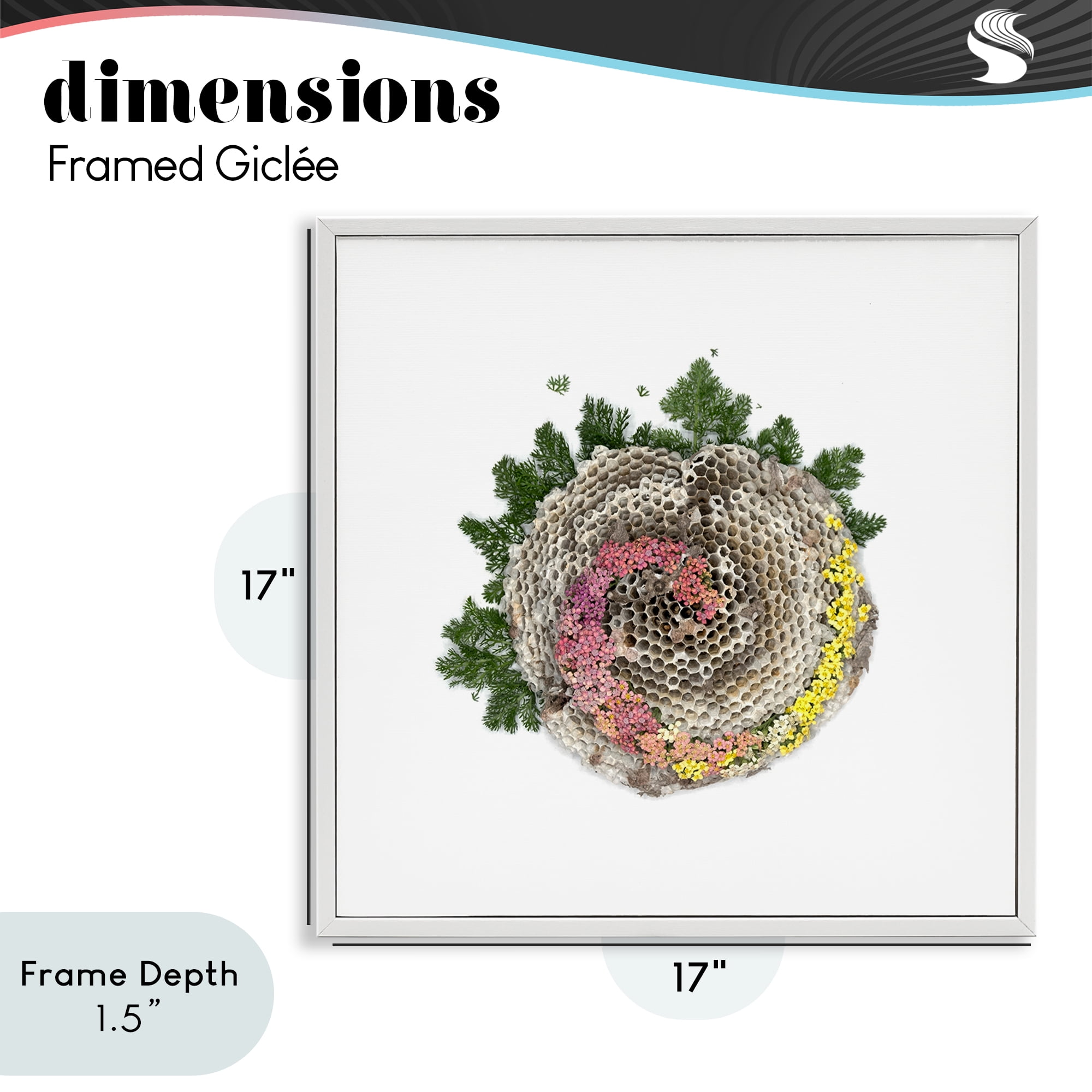 Stupell Industries Honeycomb with Botanicals White Framed Giclee Art, design by Beth Adoette