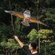 thumbnail image 1 of Cometa de águila de 1,6 m de una sola líneanovedadcometas de animalesjuguetes para niños (amarillo) Ndcxsfigh Nuevos Originales, 1 of 6