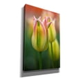 thumbnail image 2 of Epic Graffiti 'Tulip No 4' by Istvan Nagy, Canvas Wall Art, 12"x18", 2 of 8