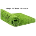 thumbnail image 3 of House Carpet Living Room Couch Throw Bryophyte Wall Shop Window Landscaping False Moss Bonsai Micro Decoration False Moss Immortal Moss Full Size Blanket Warm Power Throw Blanket, 3 of 9