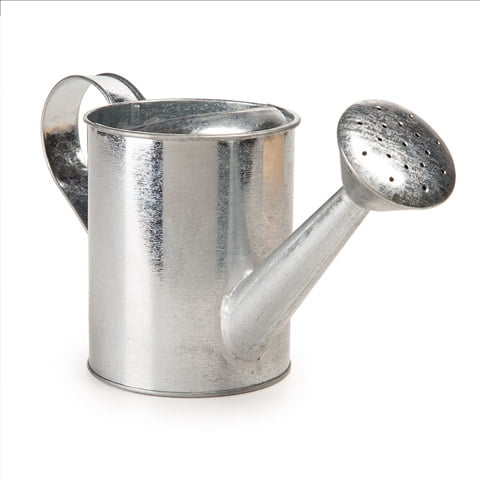 Galvanized Watering Can: 5 x 10 inches by Darice