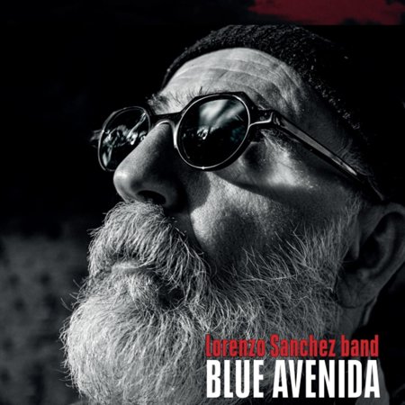 Blue Avenida (Audiobook)