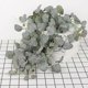 thumbnail image 4 of 3pcs Artificial Hanging Plants 76cm Wall Hanging Eucalyptus Rattan With Built-in Iron Wire Simulation Faux Plants Vines Green Leaves Art Decoration Fo, 4 of 5