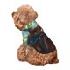 thumbnail image 5 of Balery Maple Meditating Bear Sudadera con Capucha para Perros Pequeños – Ropa para Mascotas, Disfraz para Perros y Gatos, Ideal para Fiestas y Cosplay-X-Small, 5 of 7