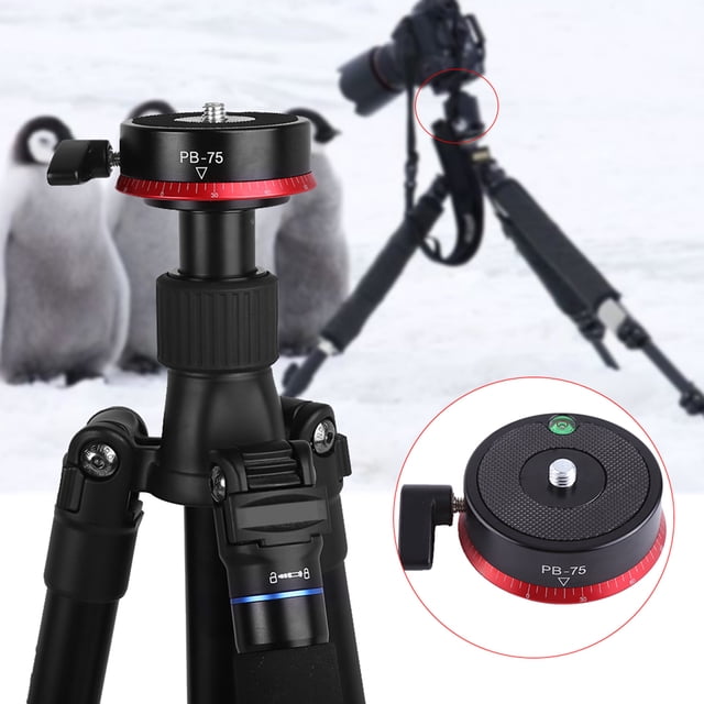 Panorama De aleación De Aluminio Profesional Cabeza De Trípode Con Rotación De 360 grados Y Nivel De Burbujas Para Cámaras DSLR Observando A Los Aves Rojos Negros