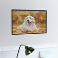 thumbnail image 6 of 1000 PCS Jigsaw Puzzles, 29.5" x 19.7" Artwork Gift for Adults Teens Golden Retriever Laying on Autumn Leafs Wooden Puzzle Games, 6 of 6