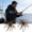 B, variant on 2-Pack Slow Floating Urchin Soft Fishing Lures, Lifelike Predator Bait for Saltwater Freshwater Angling, 6 Assorted Styles