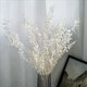thumbnail image 5 of 5X Flores de Ruscus Secas para Siempre de 45cm DecoracióN Floral DIY Ramo de Flores Secas para DecoracióN del Hogar de Boda, 5 of 5