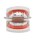 thumbnail image 3 of TISHITA Smooth Hip 2 Top &6 Bottom Mouth Teeth Set, 3 of 8