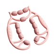 thumbnail image 1 of Rodillo de masaje de piernas Masaje de tejido profundo Accesorios multifunción Ligero 12 Rosa, 1 of 8