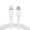 White, variant on Anker Powerline III 100W USB C Charger Cable 6ft Type C Charging Data Sync [White]