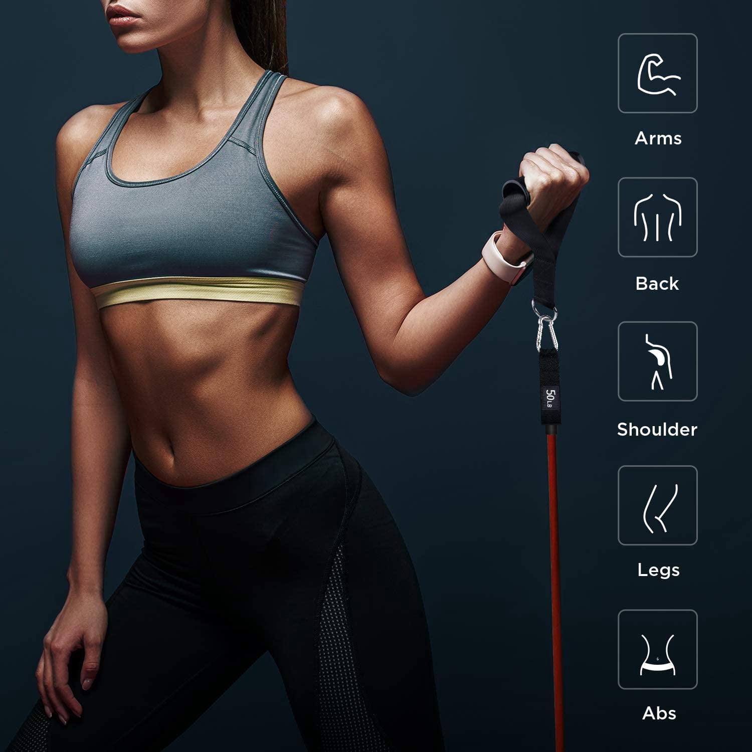 Resistance Bands for Working Out Exercise Bands Resistance Bands Set Fitness Bands Stretch Bands for Exercise Band Workout Bands Resistance Band Door Anchors Work Out Bands Elastic Bands for Exercise