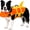 Orange-L, variant on Dog Life Jacket with Chin Float, Shark Vest for Swimming, Rescue Handle.Pet Buoyancy Aid, Neck Support, Adjustable Straps, Quick-Release Buckles, Pool & Beach Use, Small to Large Dogs