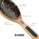 thumbnail image 5 of Kent PF20 Cepillo de paleta de cojín estrecho - Alfileres para domar la grasa, desenredar el cabello largo, grueso y rizado, masajeador del cuero cabelludo y estimulador de crecimiento para todo tipo, 5 of 5