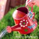thumbnail image 5 of Kearding Stainless Large-Mouthed Watering Watering And Spraying The Garden Nozzle Cans Care Can Indoor Can Watering Fine Jardín y Patio Bosque 2L, 5 of 6