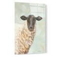 thumbnail image 2 of Epic Art 'Farm Sheep' by Pam Britton, Acrylic Glass Wall Art, 16"x24", 2 of 3