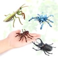 thumbnail image 2 of Modèle d'Insecte Simulation Statique Araignée Mante Papillon Moustique Jouet Cognitif pour Enfants, 2 of 4