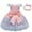 C, variant on Toddler Baby Girls Tulle Dress Sleeveless Flower Princess Wedding Pageant Dress Party Dresses Infant Large Bowknot Lace Tulle Tutu 0-2T