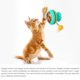 thumbnail image 5 of Tocadiscos Pet Toy Funny Pet Stick Pet Catnip Ball Tocadiscos Comedero Para Mascotas seitruly PT001584-02, 5 of 7