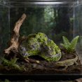 thumbnail image 7 of zhonghuaying Non-Hollow Artificial Rock, Moss Rock, Decorative Rocks, PU Foam Stone for Outdoor Landscaping Yard, Indoor Window Display(9.44x4.72 in), 7 of 7