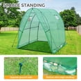 thumbnail image 4 of EAGLE PEAK 5.9' x 5.9' x 6.6' Outdoor Walk-in Tunnel Greenhouse with 2 Zippered Doors, Roll-up Mesh Windows, PE Cover, Green, 4 of 8