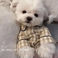 thumbnail image 1 of Ropa De Dormir Para Mascotas, Pijamas Para Perros Con Cierre De Gancho Y Bucle De Algodón A Cuadros Con Bolsillo Trasero Para Cachorros Y Gatos, Primavera Y Verano, 1 of 5