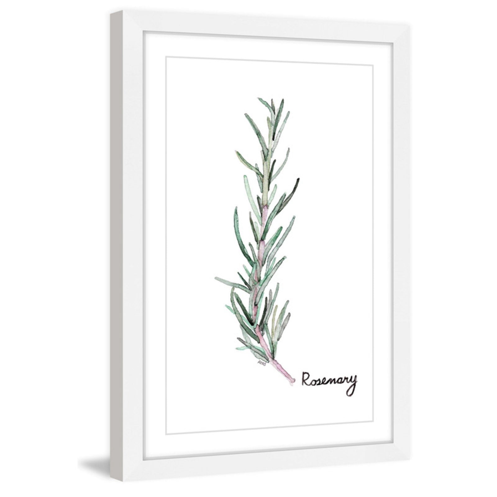 Marmont Hill "Herb Rosemary" by Rachel Byler Framed Painting Print