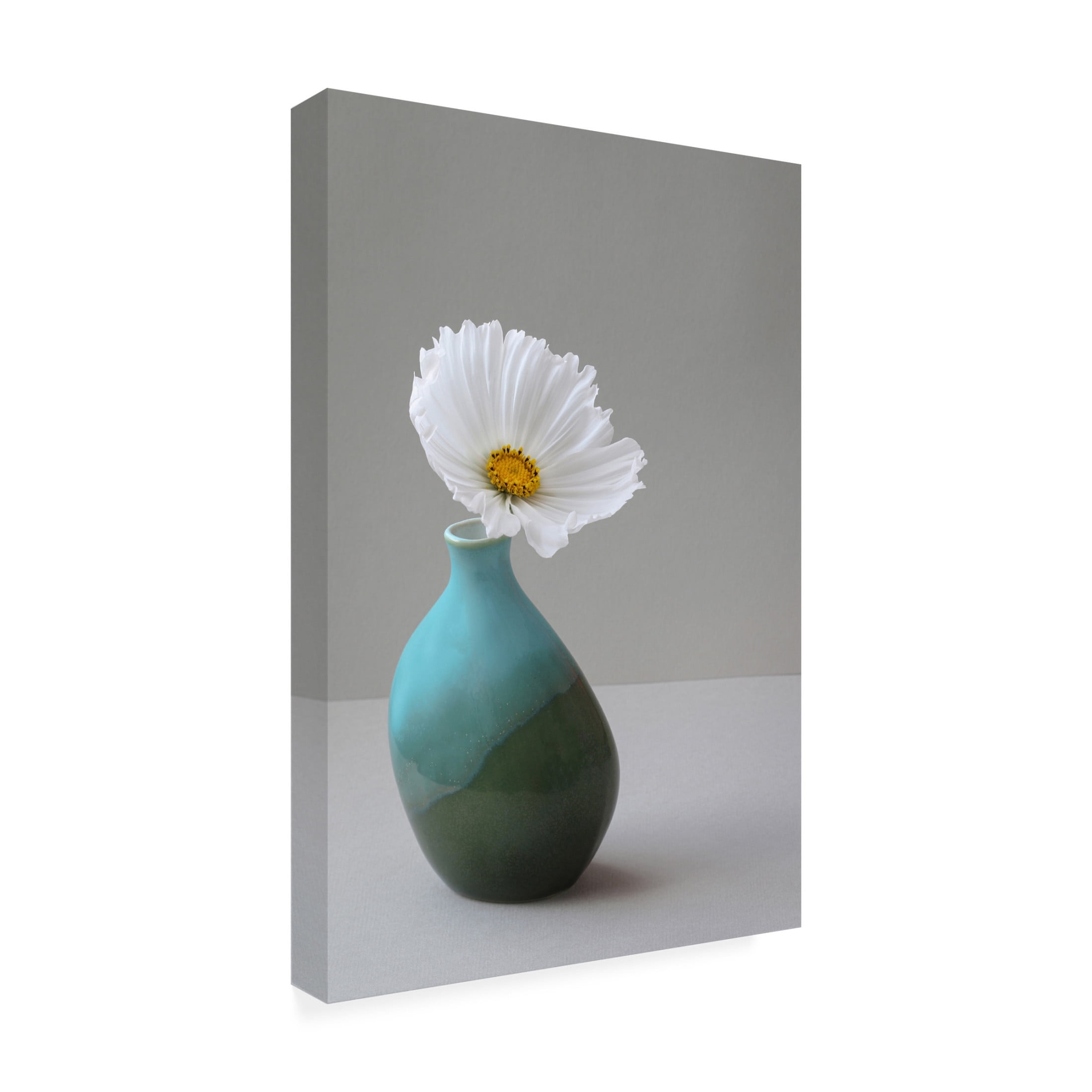 Trademark Fine Art Alyson Fennell Cup Cake Cosmos Still Life Canvas Wall Art